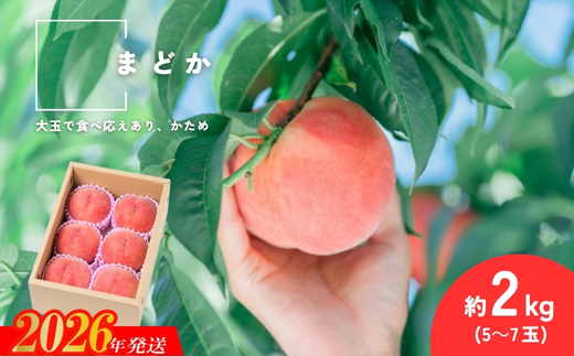 No.2991 福島県福島市産もも「まどか」約2kg(5～7玉)【2026年発送 先行予約】