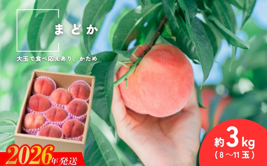 No.2992 福島県福島市産もも「まどか」約3kg(8～11玉)【2026年発送 先行予約】