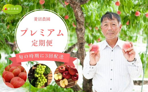 No.3005 フルーツプレミアム定期便【2026年発送 先行予約】