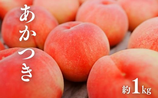 No.3008 桃（あかつき）約1kg【2026年発送】