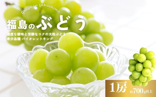 No.3019 ぶどう 希少品種 バイオレットキング 1房(約700g以上)【2025年発送】
