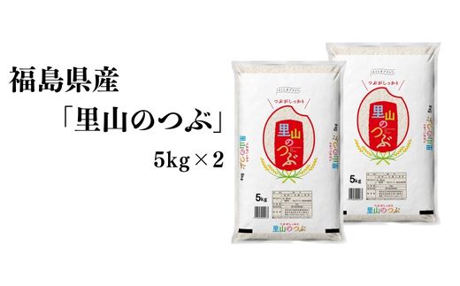 No.3048 【令和7年産】福島県産米「里山のつぶ」精米 10kg(5kg×2袋)