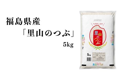 No.3049 【令和7年産】福島県産米「里山のつぶ」精米 5kg 1袋