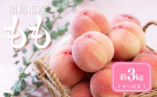 No.3061 道の駅ふくしま 福島市産もも　約3kg（9玉～12玉）【2026年発送】