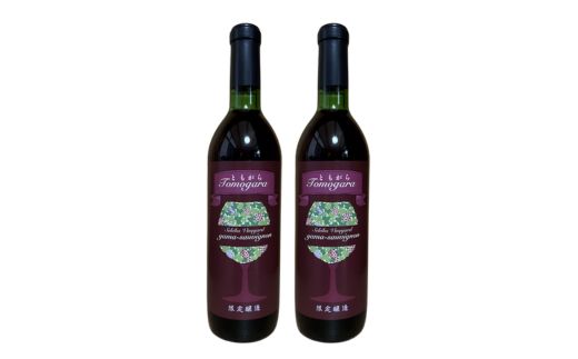 No.3064 ヤマソーヴィニヨン赤ワイン ともがら 2020　720ml　2本入り【2025年9月中旬より発送】