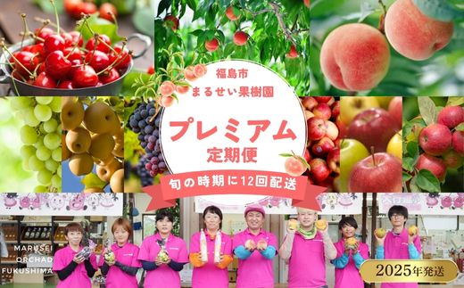 No.3131まるせい果樹園 【定期便12回】プレミアムまるかじりコース【2025年発送】