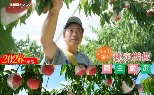 No.3235 果樹園きつない もも 品種お任せ定期便 全2回【2026年8月から9月発送】