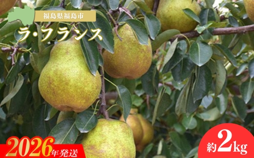 No.3244 ヤマ考紺野果樹園 ラフランス約2kg【2026年発送】