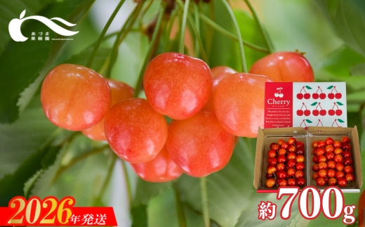No.3263さくらんぼ（佐藤錦又は紅秀峰約700g)【2026年発送】
