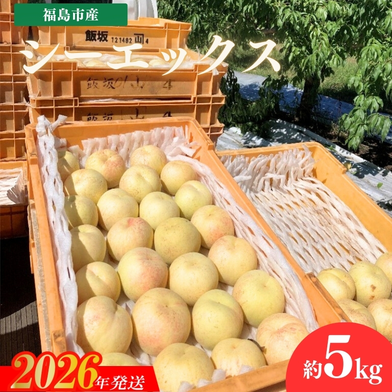 No.3268 安斎果樹園 福島のもも 「シーエックス」 約5kg（13玉～15玉）【2026年発送 先行予約】