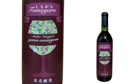 No.3310 ヤマソーヴィニヨン赤ワイン ともがら 2021　720ml