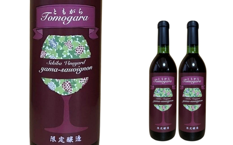 No.3311 ヤマソーヴィニヨン赤ワイン ともがら 2021　720ml　2本入り