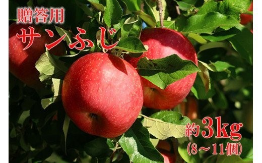 No.0787 りんご「サンふじ」約3kg化粧箱入【2025年度発送】