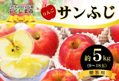 No.2419 ふくしまのサンふじりんご　約5kg【2025年度発送】