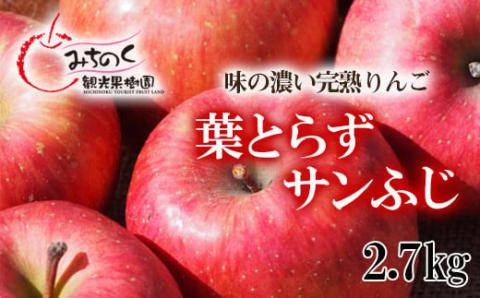 No.1924 ふくしまの葉取らずサンふじ　贈答用　約2.7kg【2025年度発送】