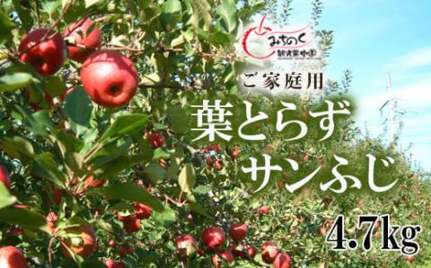 No.1927 ふくしまの葉取らずサンふじ　ご家庭用　約4.7kg【2025年度発送】