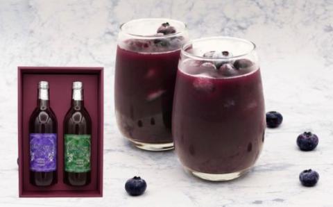 No.0111果汁100％とろっと濃厚なブルーベリージュースセット