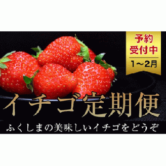No.1434いちご定期便福島の朝摘み とちおとめ4P【全2回】【2025年発送】