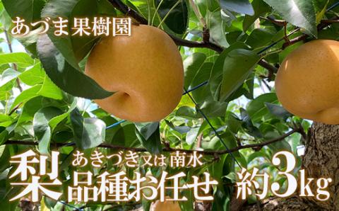 No.1766梨　品種おまかせ　(あきづき又は南水)約3kg【2025年発送】