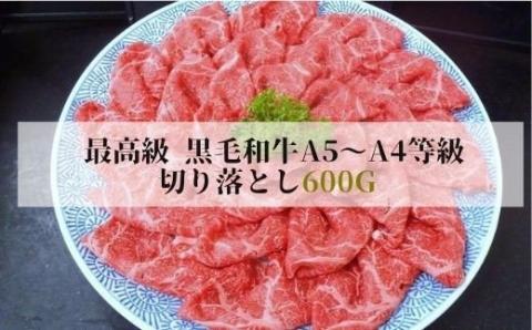 No.1289 最高級　黒毛和牛 切り落とし 600g  特選福島牛A5～A4等級