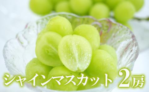 No.2429ぶどう　ふくしまのシャインマスカット　2房【2026年発送】
