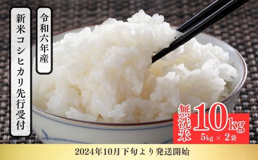 No.2499大文字屋米穀店[令和6年産 新米先行受付]コシヒカリ精米(無洗米)1等米 10kg