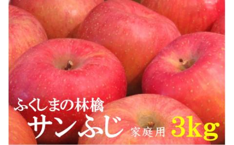 No.2064[2023年度発送]りんご「サンふじ」家庭用約3kg 林檎 リンゴ