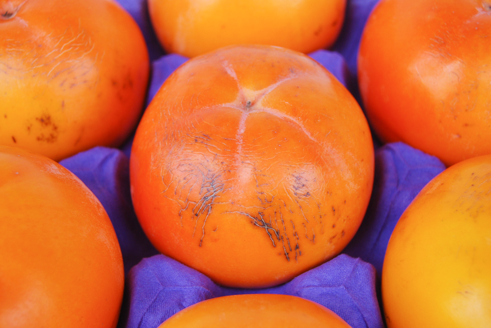 会津身しらず柿 (訳あり・家庭用) 約4.5kg (13個から20個入り) 渡部柿園産｜会津若松 訳アリ 果物 フルーツ 柿 みしらず かき カキ 会津身不知柿 令和7年 2025年 旬 [0937]