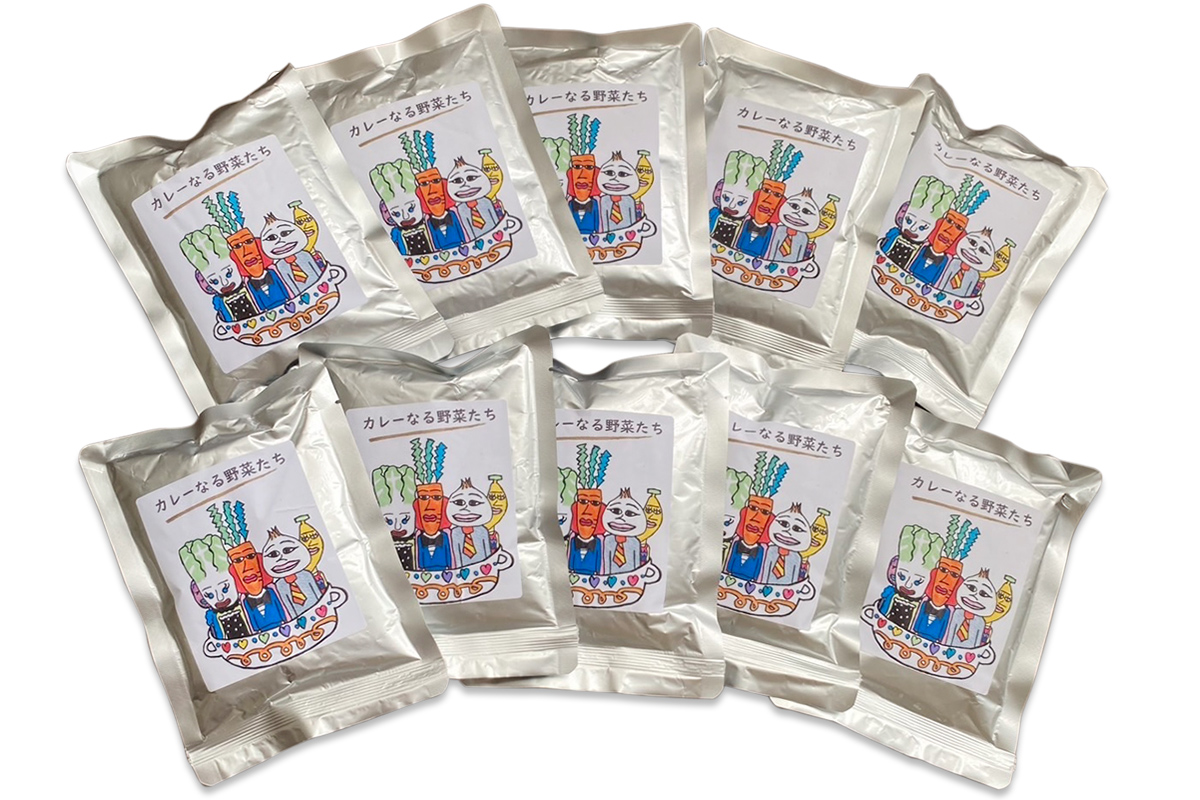 カレーなる野菜たち 10個タイプ｜レトルトカレー チキンカレー うまいもの 贈答品 ヘルシー カレー ギフト 防災食 非常食 備蓄食 時短 ギフト お中元 お歳暮 [0940]