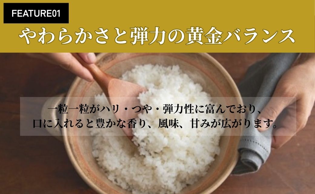 令和7年産 会津産コシヒカリ 米でいいの田゛白米 5kg｜令和7年 2025年 会津産 米 お米 こめ コメ 精米 こしひかり [1152]