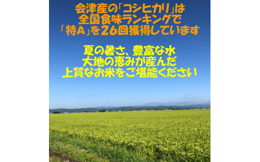 [定期便／6ヶ月] コシヒカリ 白米 10kg 二瓶商店｜令和7年 2025年 会津産 米 お米 こめ コメ 精米 こしひかり 定期便 新米 [0970]