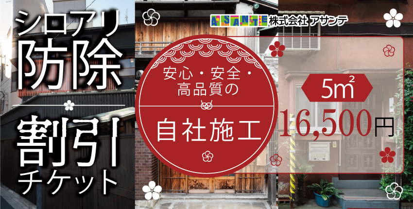 シロアリ 防除作業一式 5平米 チケット (1万6500円分)｜白アリ 白蟻 防除 対策 会津若松市 家 自宅 実家 別荘 クーポン 補助券 割引券 利用券 アサンテ [0905]