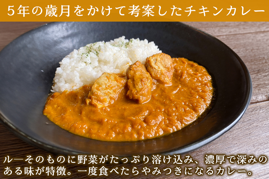 カレーなる野菜たち 10個タイプ｜レトルトカレー チキンカレー うまいもの 贈答品 ヘルシー カレー ギフト 防災食 非常食 備蓄食 時短 ギフト お中元 お歳暮 [0940]