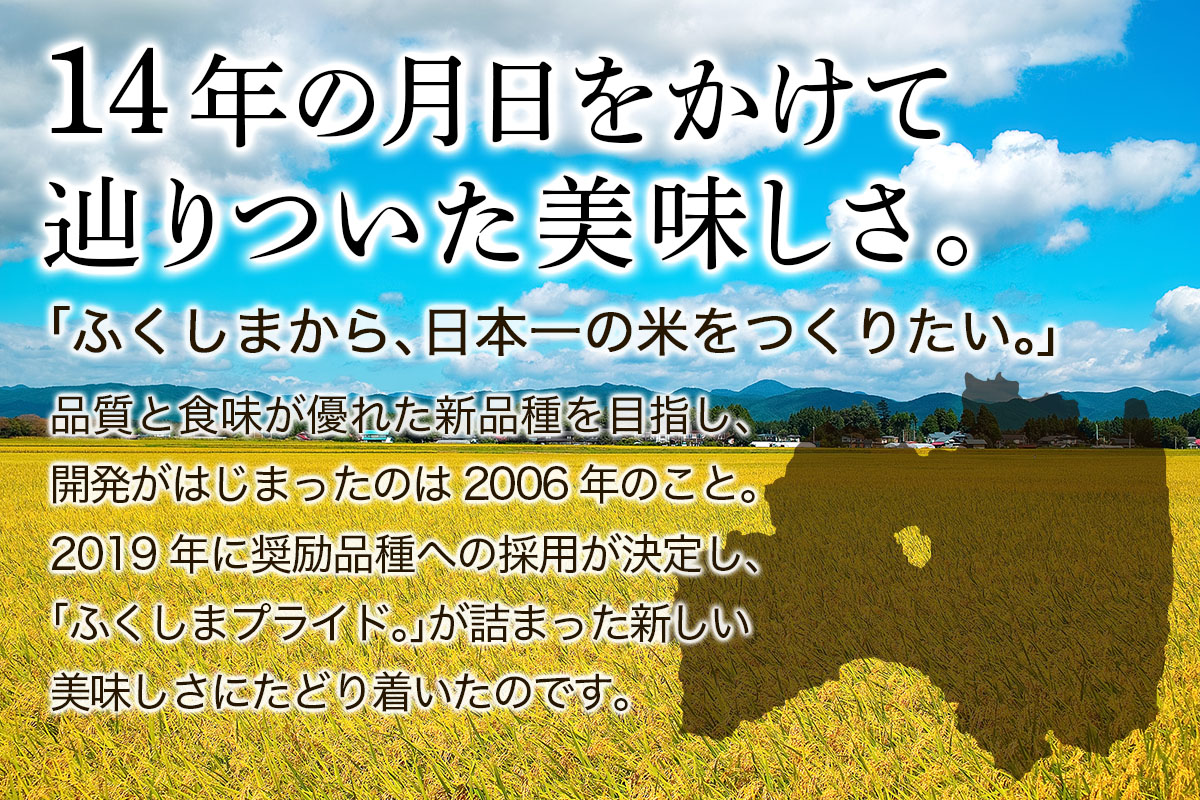 会津若松市産『福、笑い』10kg (5kg×2袋)｜令和7年産 2025年産 福笑い 福わらい ふくわらい お米 こめ コメ 精米 白米 会津産 福島県 ブランド米 [1026]