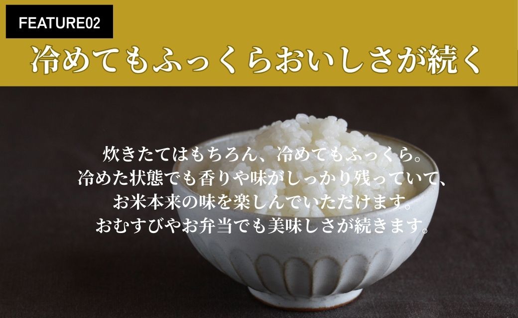 令和7年産 会津産コシヒカリ 米でいいの田゛玄米 5kg｜令和7年 2025年 会津産 米 お米 こめ コメ 玄米 こしひかり [1151]