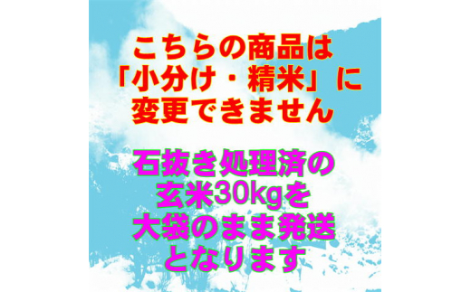 二瓶商店の会津若松市産 ひとめぼれ 玄米 30kg｜令和7年 2025年 会津産 米 お米 こめ コメ 玄米 [0964]