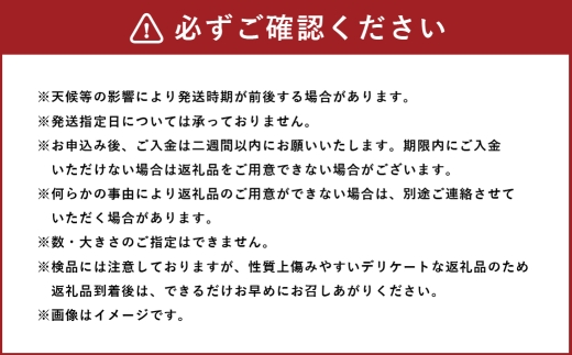 会津身知らず柿 L～3L