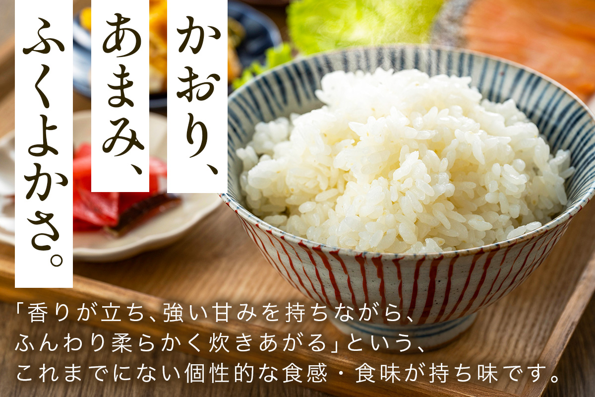 会津若松市産『福、笑い』5kg｜令和7年産 2025年産 福笑い 福わらい ふくわらい お米 こめ コメ 精米 白米 会津産 福島県 ブランド米 新米 [1025]