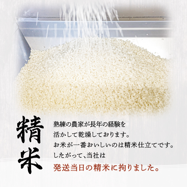 會津特選米 松平 3kg (会津若松市産コシヒカリ)｜令和7年 会津産 米 白飯 お米 2025年 こしひかり コシヒカリ コメ [1064-1065]