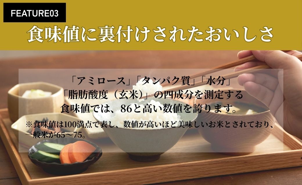 令和7年産 会津産コシヒカリ 米でいいの田゛白米 10kg (5kg×2袋)｜令和7年 2025年 会津産 米 お米 こめ コメ 精米 こしひかり [1155]