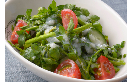 塩糀ノンオイルドレッシング 200ml×8本｜サラダ [1012]