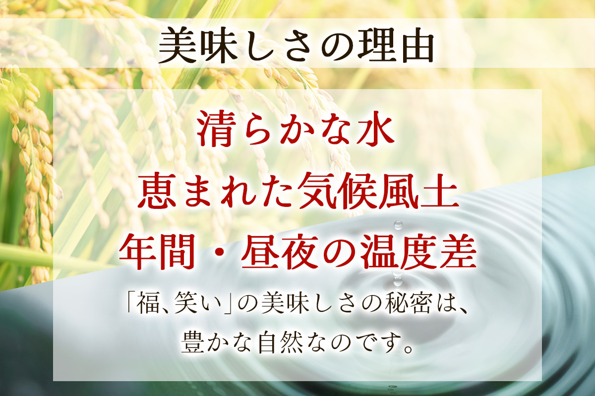 会津若松市産『福、笑い』5kg｜令和7年産 2025年産 福笑い 福わらい ふくわらい お米 こめ コメ 精米 白米 会津産 福島県 ブランド米 新米 [1025]