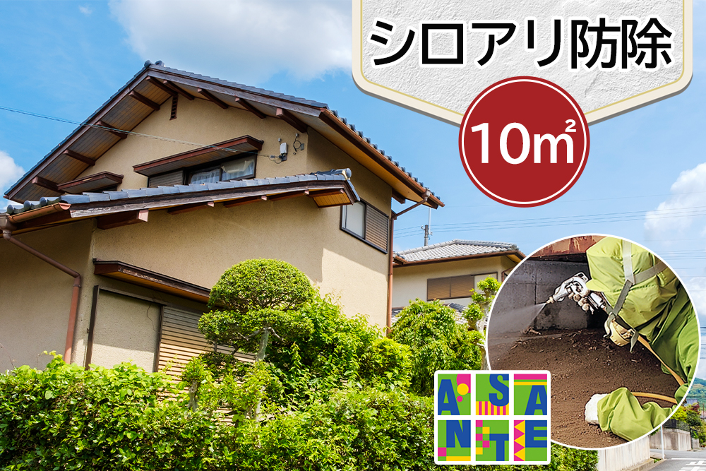 シロアリ 防除作業一式 10平米 チケット (3万3000円分)｜白アリ 白蟻 防除 対策 会津若松市 家 自宅 実家 別荘 クーポン 補助券 割引券 利用券 アサンテ [0906]