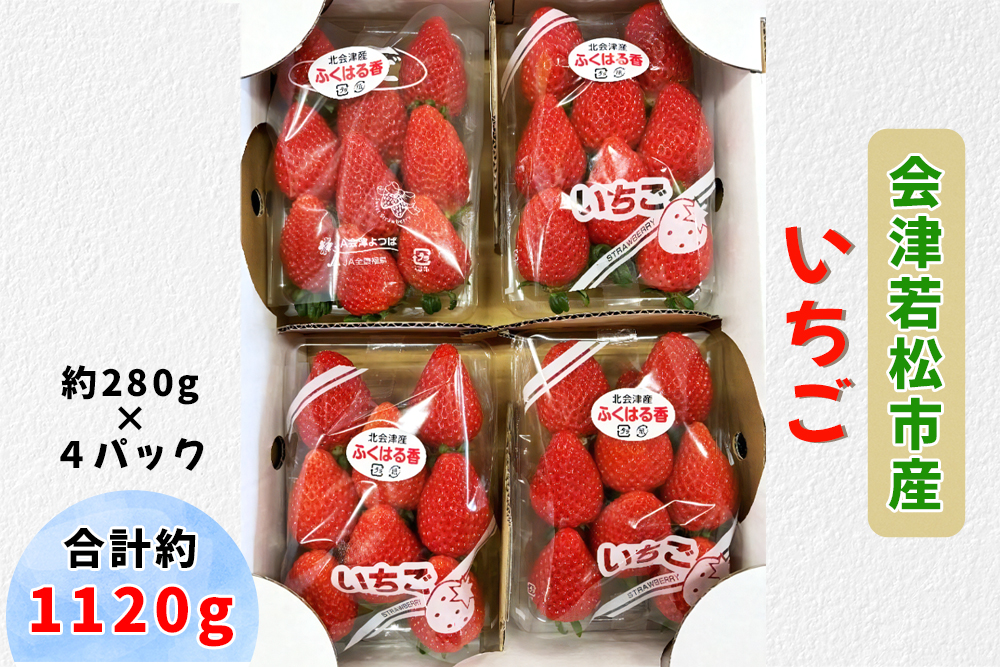 会津若松市産 いちご 約1120g (約280g×4パック)｜2025年産 令和7年産 いちご イチゴ 苺 フルーツ 果物 農協 会津産 会津若松 [0766]