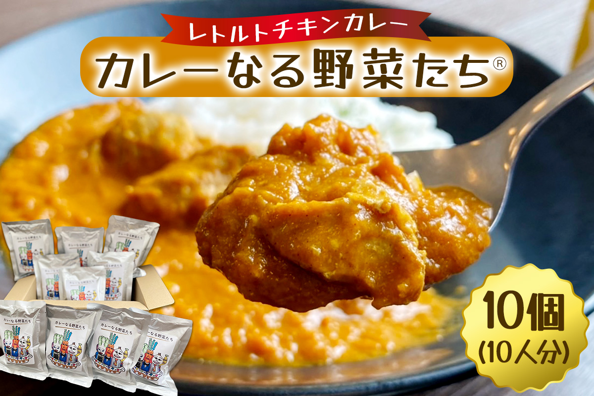 カレーなる野菜たち 10個タイプ｜レトルトカレー チキンカレー うまいもの 贈答品 ヘルシー カレー ギフト 防災食 非常食 備蓄食 時短 ギフト お中元 お歳暮 [0940]