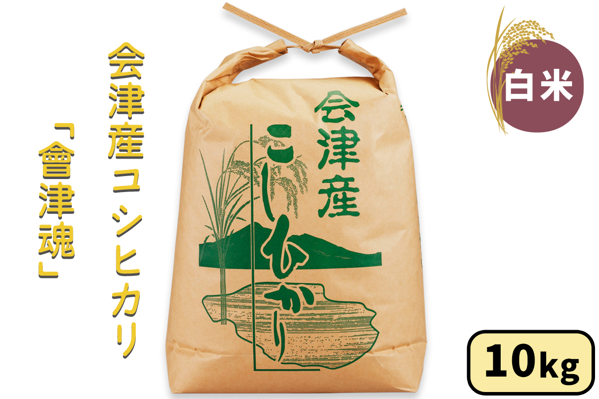 会津産 コシヒカリ「會津魂」【白米】10kg｜令和7年産 2025年産 こしひかり 会津若松市 お米 米 こめ 白米 コメ 精米 [1035]