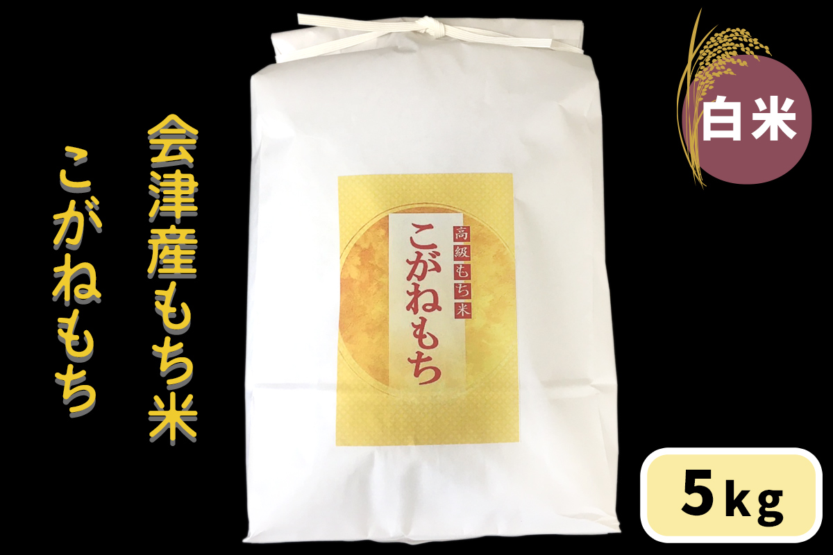 会津産もち米「こがねもち」【白米】5kg｜令和7年産 2025年産 会津若松市 もちごめ 餅米 米 [1038]