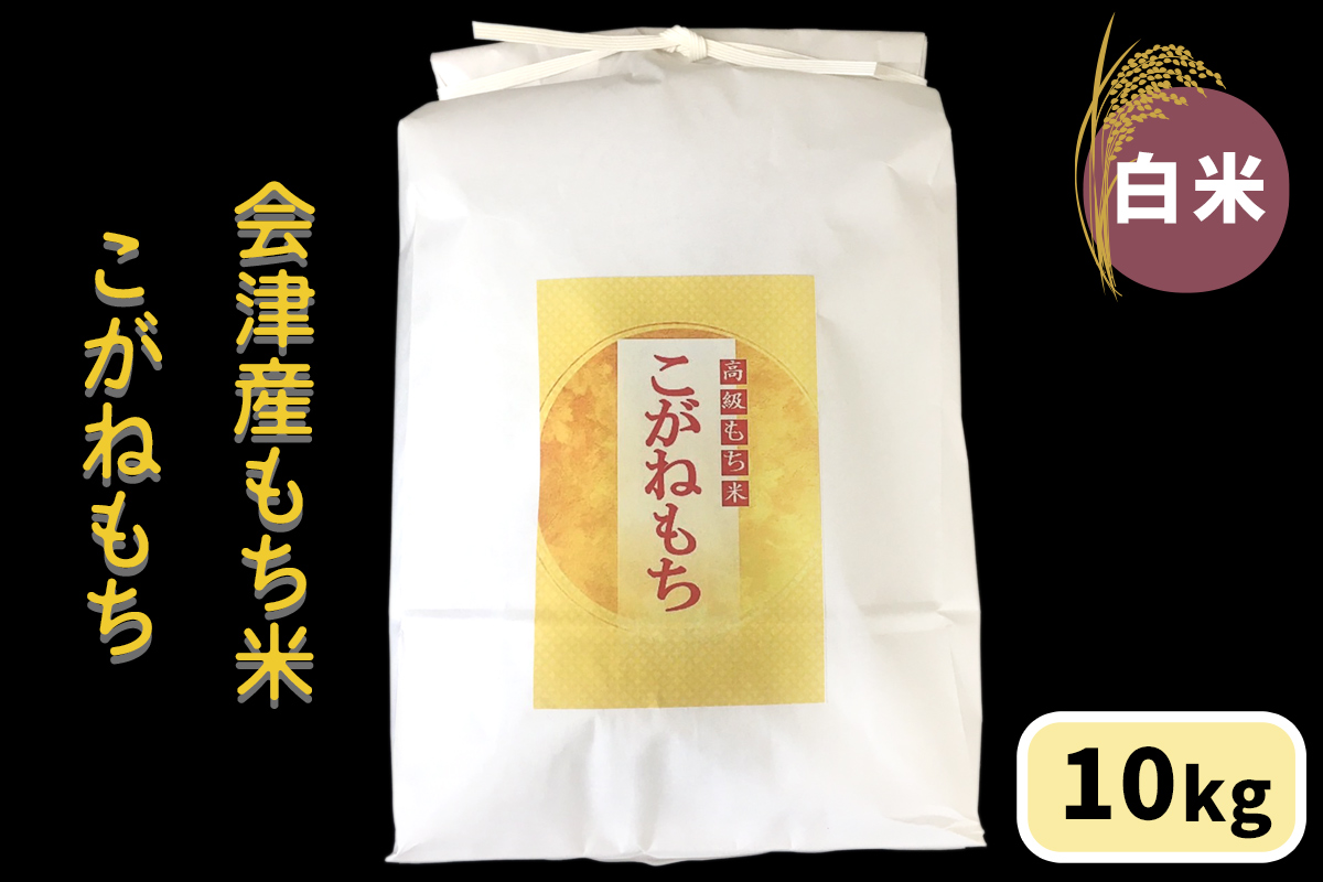 会津産もち米「こがねもち」【白米】10kg｜令和7年産 2025年産 会津若松市 もちごめ 餅米 米 [1039]