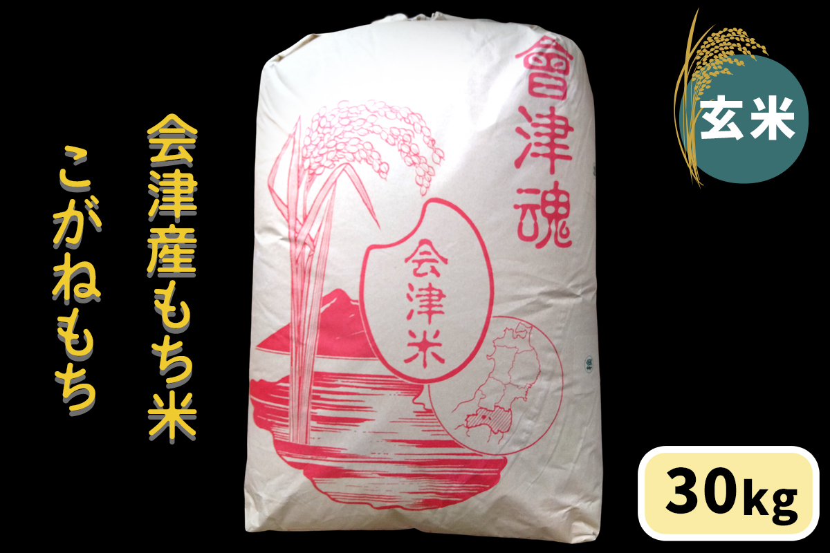 会津産もち米「こがねもち」【玄米】30kg｜令和7年産 2025年産 会津若松市 もちごめ 餅米 米 [1042]