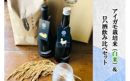 令和7年産 アイガモ栽培米 (白米) とロハ酒飲み比べセット｜2025年産 米 こめ ごはん 地酒 日本酒 [1105]